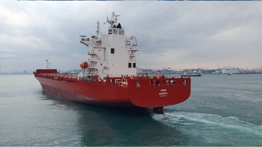 H Capital-Executive Ship Management Corp. παρέλαβε τα νεότευκτα containerships «Avios» &amp; «Astraios»